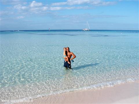 Dominicus