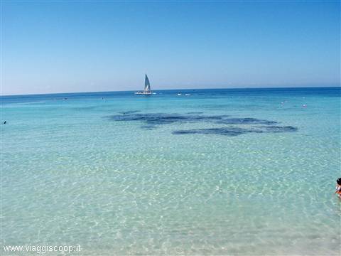 Viva Dominicus Beach