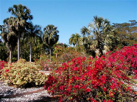 Santo Domingo - Giardino Botanico