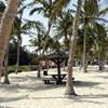 jumeirah beach park EMIRATI ARABI UNITI 