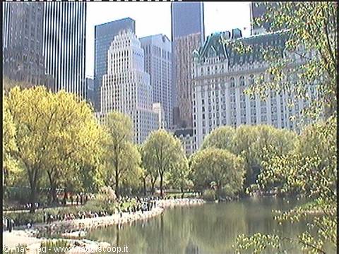 Central Park