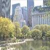 Central Park STATI UNITI D'AMERICA 