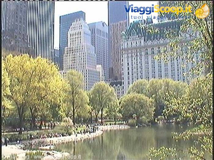 Central Park