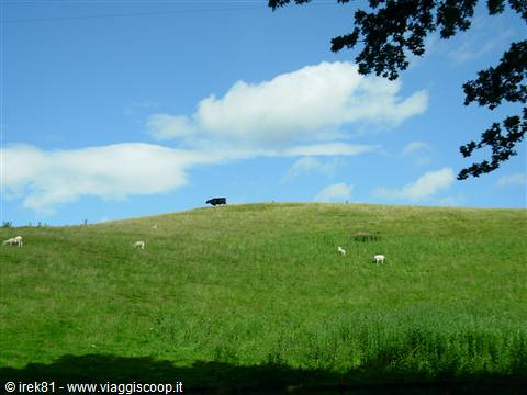 Highlands