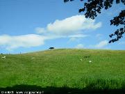 Highlands