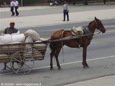 ....un ns. fiat daily...