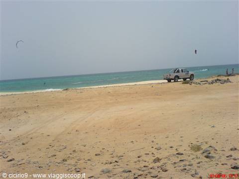 spiaggia delle tartarughe