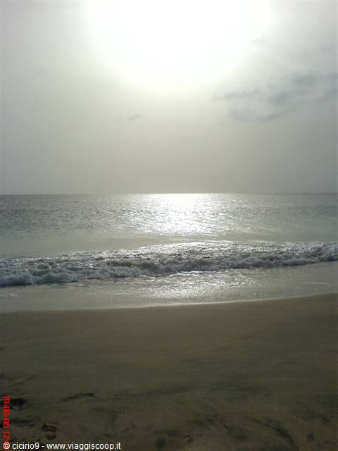 alba a sal