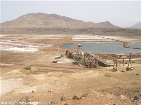 le saline
