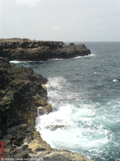 scogliere