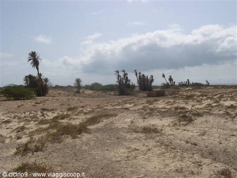 il deserto