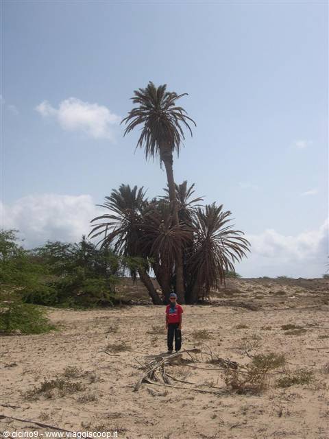 il deserto