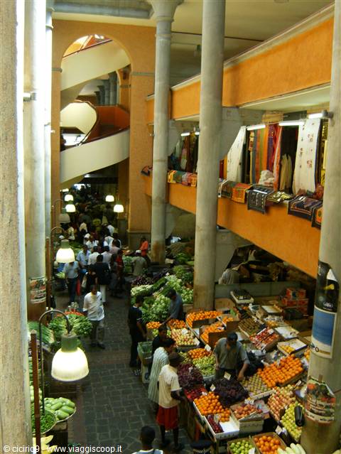 shopping