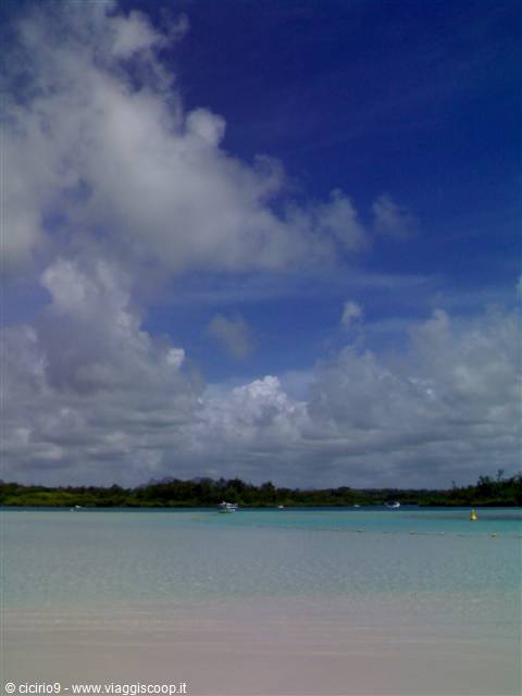 mare, mare, mare
