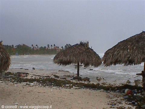 tempesta tropicale