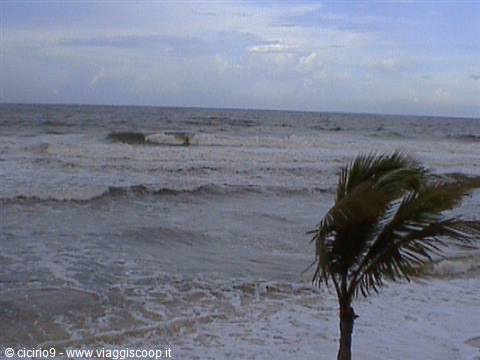 tempesta tropicale