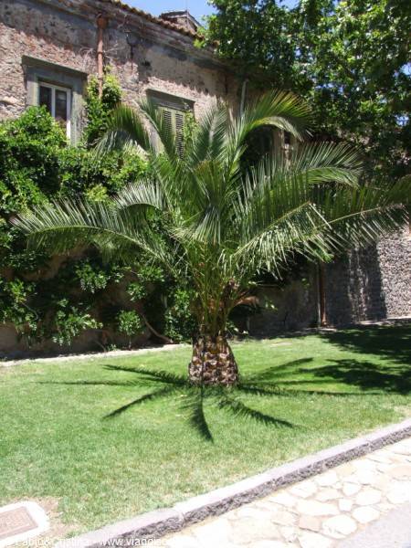 Castello Nelson