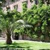Castello Nelson ITALIA 