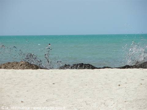 alghe a Djerba