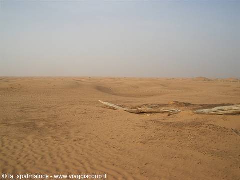 deserto