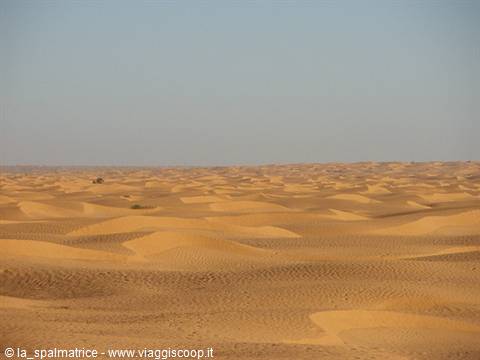 deserto