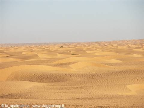 deserto