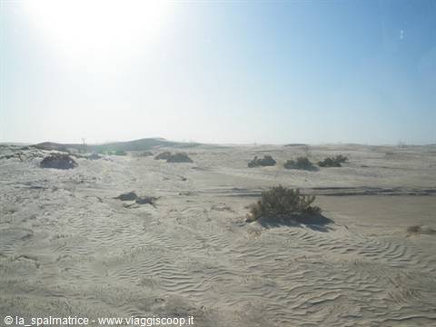 deserto
