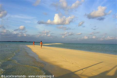 Banco di sabbia al largo di Olhuveli 