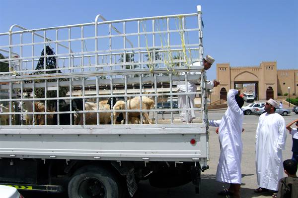Nizwa - Souk