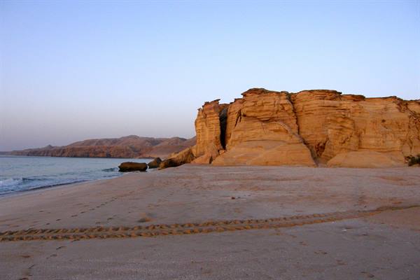 Ras al Jinz - Tracce tartarughe