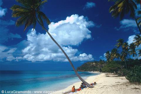 Darkwood Beach