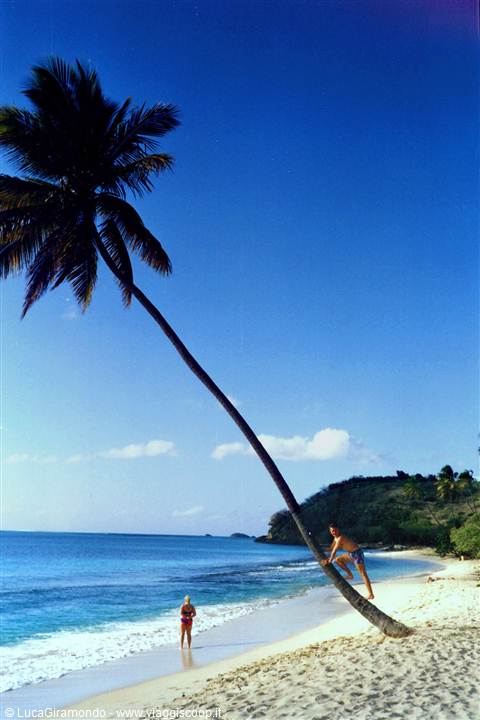 Darkwood Beach