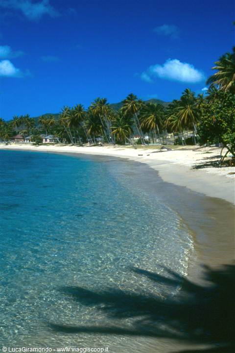 Morris Bay