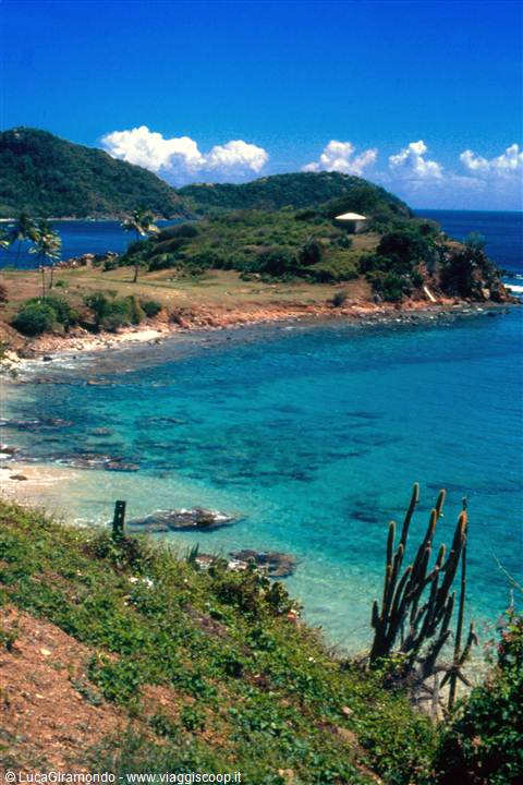 Carlisle Bay