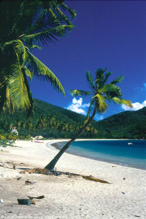Carlisle Bay