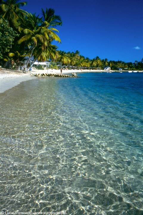 Carlisle Bay