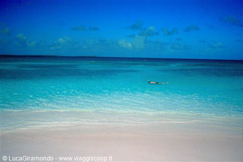 Long Bay