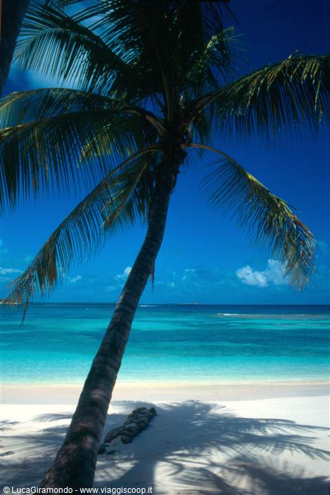Long Bay