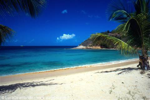 Hawksbill Bay
