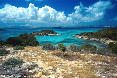 Bird Island