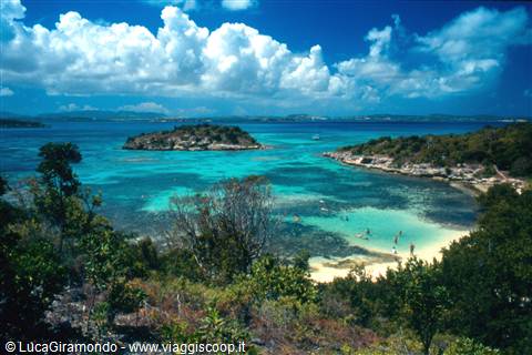 Bird Island