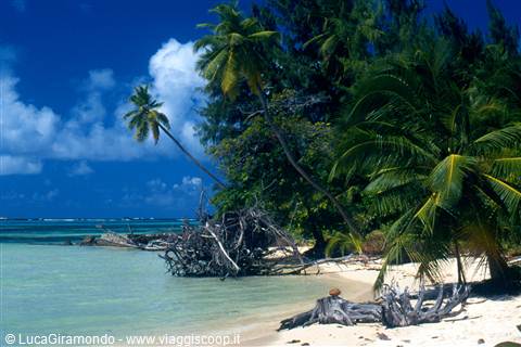 Sainte Anne Marine National Park