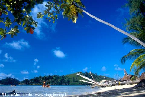 Sainte Anne Marine National Park