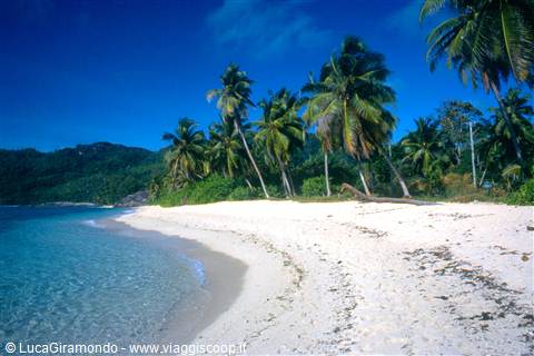 Anse Forbans