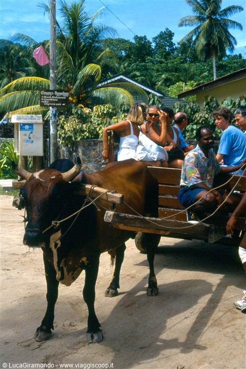 La Digue