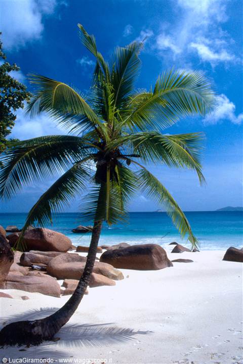 Anse Lazio 