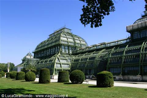 Schönbrunn - Palmenhaus