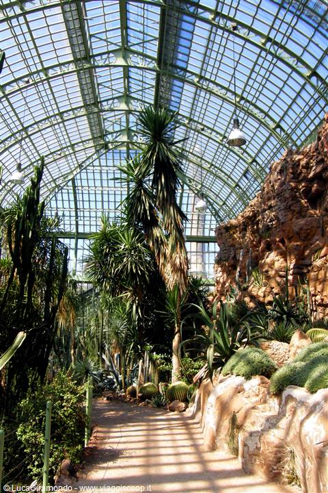 Schönbrunn - Wüstenhaus