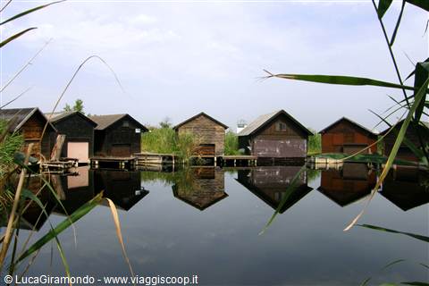 Neusiedler See