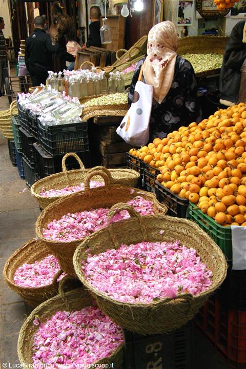 Fes - Souk